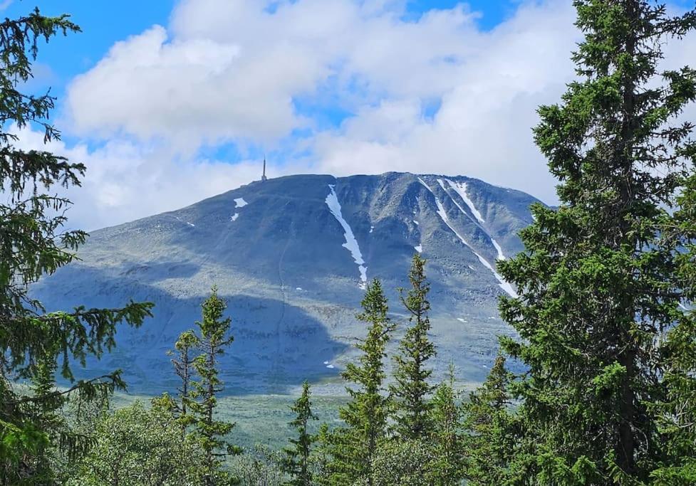 Ny Leilighet Med Flott Utsikt Til Gaustatoppen Rjukan Exterior foto